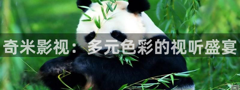 藍(lán)莓視頻下載免費(fèi)觀看：奇米影視：多元色彩的視聽盛宴